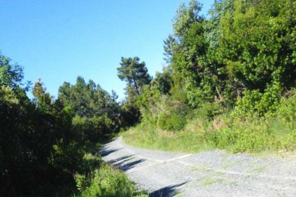 Percorso del pellegrino-min Percorso del pellegrino-min